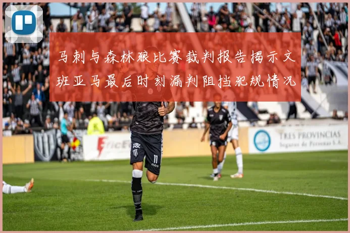 马刺与森林狼比赛裁判报告揭示文班亚马最后时刻漏判阻挡犯规情况